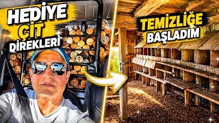 Çiftliğe Bölmeler İçin Hediye Çam Direkler 🪵 Harabe Kümesi Temizliyorum 🐔 Zeynaya Yemek 🐕‍🦺