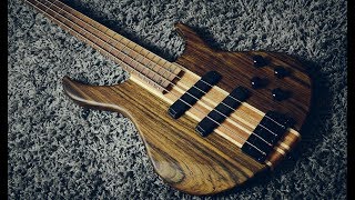 Video thumbnail for My bass tone with the Harley Benton HBZ 2004 and TSE B.O.D by Milian Malivuk Music