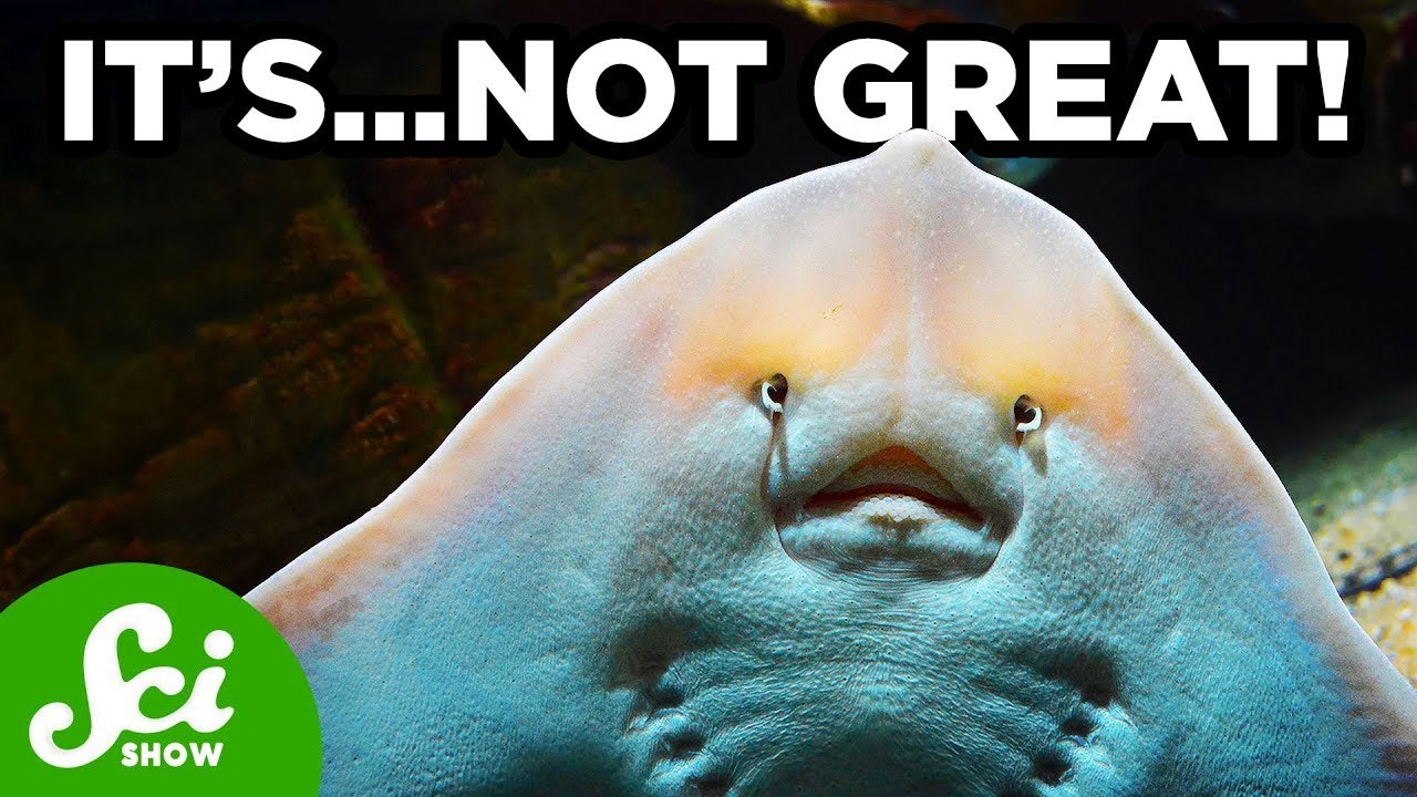 Inbreeding with Yourself