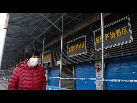 Corona research: WHO experts allowed to enter China