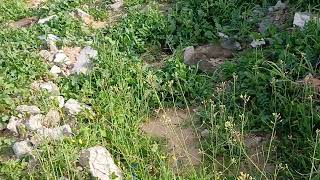 ياريت ما تخيبو أملنا وإللي يقدر يساعد ما يقصر #اكسبلور #gaza