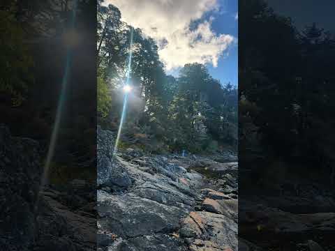 Paisajes simples pero impactantes de Villa Pehuenia en Neuquen, Patagonia Argentina