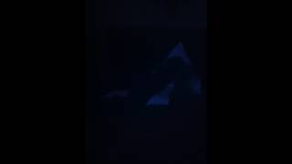 Michael the Dragon Slayer, AKA the Ultimate Supreme Being!!!