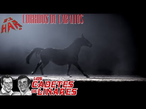 LOS CADETES DE LINARES DE HOMERO GUERRERO Y LUPE TIJERINA -   CORRIDOS DE CABALLOS SOLO EXITAZOS!!