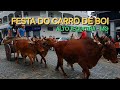 Desfile do Carro de Boi em Alto Jequitibá - MG