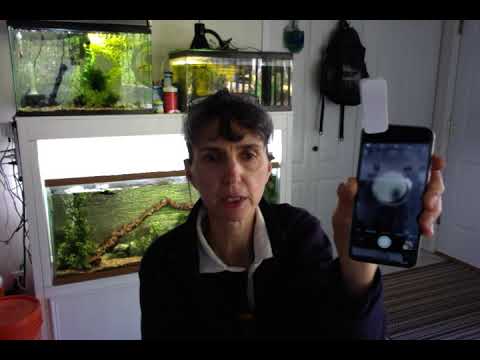 The Most Useful Tool for Observing Small Things in Nature: Magnifying lens