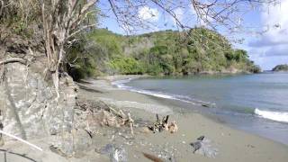 preview picture of video 'Louis D'or Bay Beach 25.04.2011 Tobago Caribbean (HD)'