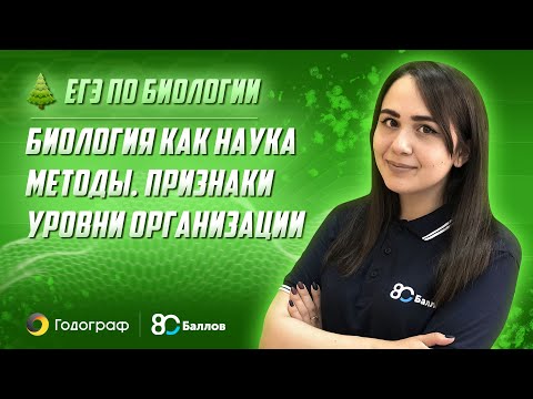 Видео 3