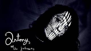 The best of Antony and the Johnsons