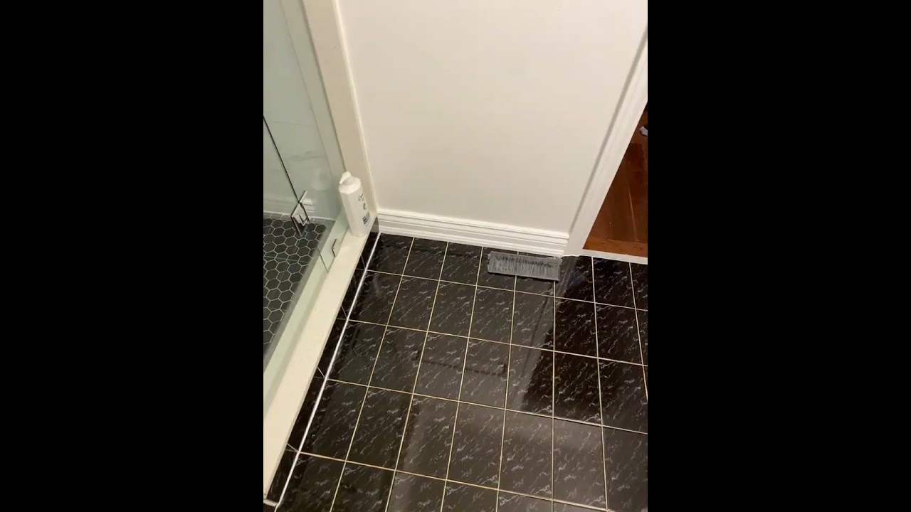External video