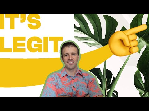 Mastering Layouts - The Key to a Responsive Full Bleed Hero