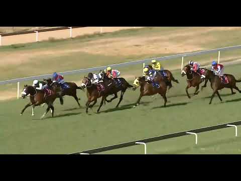 BOHICA  - race 6 #turffontein 22 September 2022