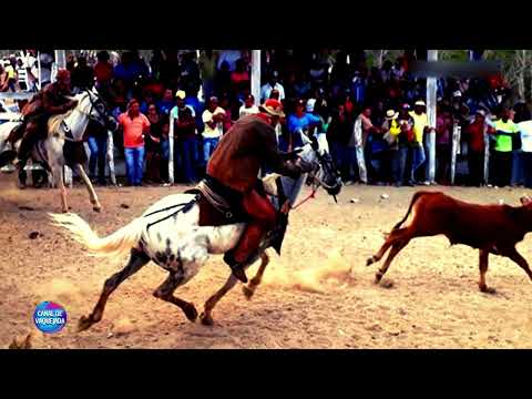 Vaquejada de Porto da Folha-SE