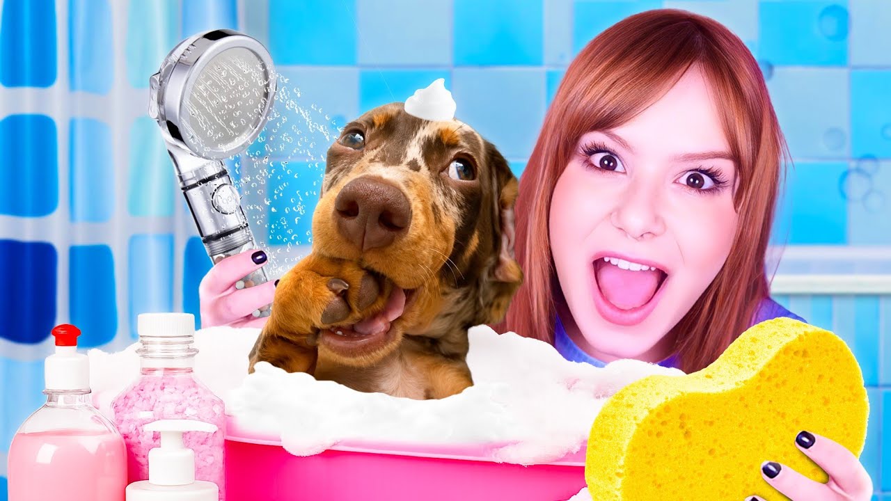 LARGUEI O YOUTUBE PRA ABRIR UM PETSHOP