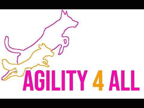 A4A Grand Finals Sunday