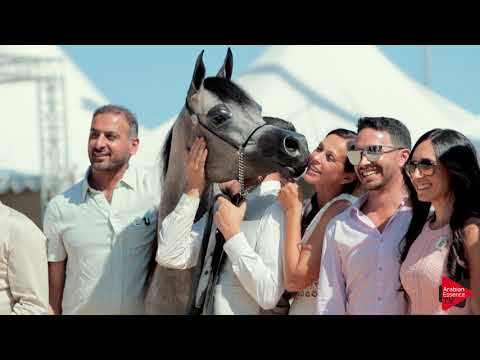 Menton 2019 - Highlights