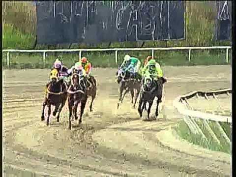 Resumen Domingo, 12 de Enero de 2014 - La Rinconada