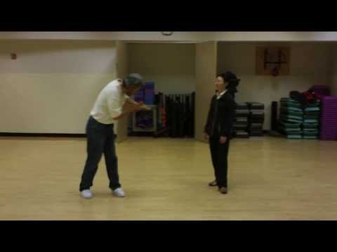 Tai Chi Push Hands Basic Training, Part 5