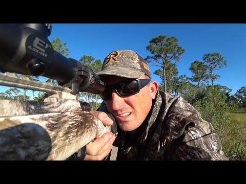 Wild Boar {Catch Clean Cook} with a Surprise...