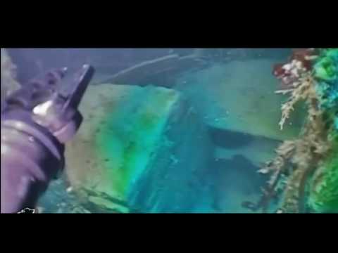 ZBULOHET NE ARKTIK ANIJA E ZHDUKUR QE NE SHEKULLIN E XIX NE EKSPEDITEN E DESHTUAR LAJM