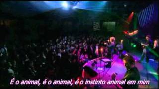 The Animal Instinct  Legendado.avi