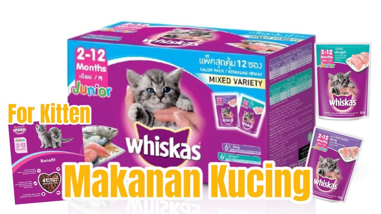 Watch video Unboxing Makanan Kucing Whiskas Multipack Junior Mackarel dan Tuna Now Unboxing Makanan Kucing Whiskas Multipack Junior Mackarel dan Tuna