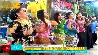 Download lagu LAGU BARU!!! [[Sawangen feat Stell kendo]] OM. ZELINDA TERBARU 2017 mp3