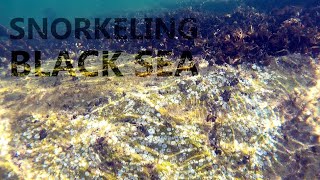 Снорклінг, пляж БЕЗМЕЖ/Скелі, Одеса, серпень 2025 (Snorkeling, Ukraine, Black Sea, Dolphin Beach)