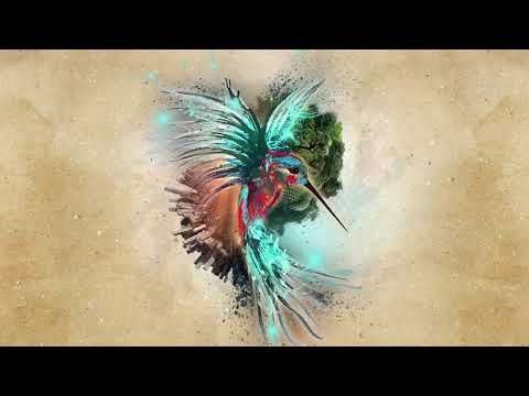 Jakare - Schizophonia (EP Mix) [Folktronica / Shamanic Downtempo]