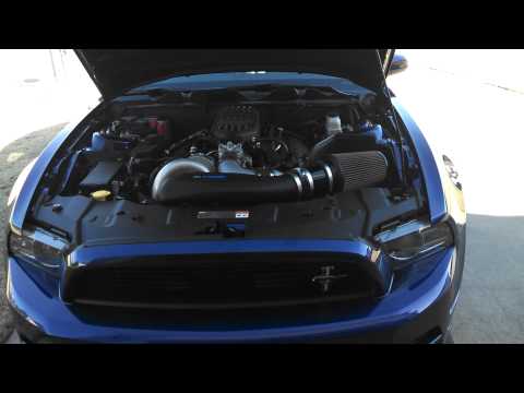 2013 mustang gt vortech startup. Beefcake special