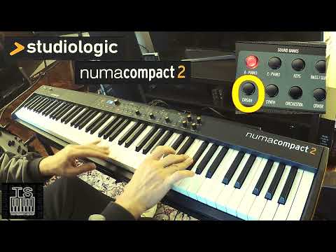 Studiologic Numa Compact 2 _ quick sound taste _ keys & organ