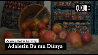 Zeynep Bakşi Karatağ - Adaletin Bu mu Dünya sa prevodom