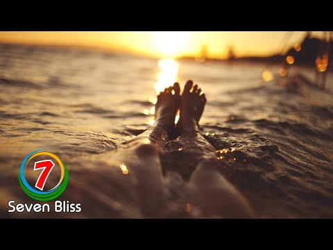 Platen & Clarks - Pura Vida (Extended Mix)