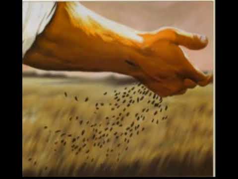 Dimanche de la Sexagésime  Sermon abbé Laffite  04 02 2018