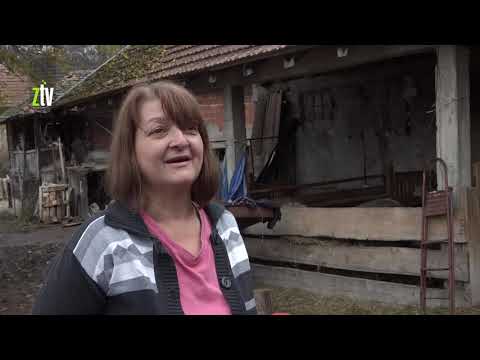 Uzgoj romanovske ovce