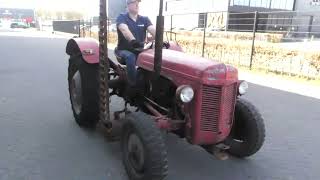 Massey Massey-Harris Ferguson TEF wheel tractor | Image 4 - Agroline