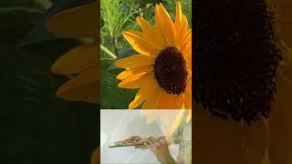 【フルート】ひまわりの約束を吹いてみた