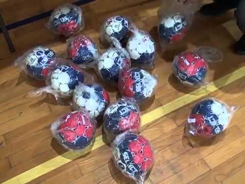 Milan Sajin - ZRK VRBAS