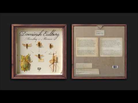 Dominik Eulberg - Mimese (Original Mix)