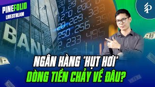 Lựa chọn mới của dòng tiền sau khi rời Cổ phiếu Ngân hàng? | Livestream Pinefolio