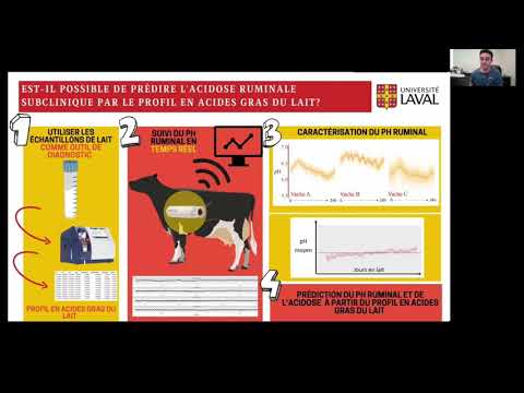 My thesis in 180 seconds - Production