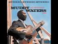 Muddy Waters - Look What You've Done - TheBluesfan12 Muddy Waters - Look What You've Done