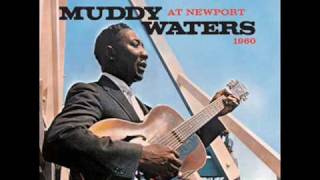 Muddy Waters - Look What You&#39;ve Done