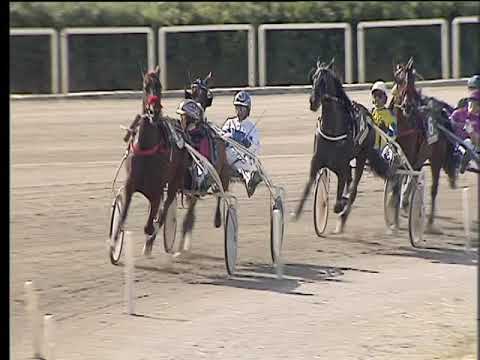 Trotto 13/04/2018 - 2ª corsa