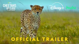 Official Promo