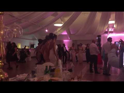 Syrianska bröllop 8