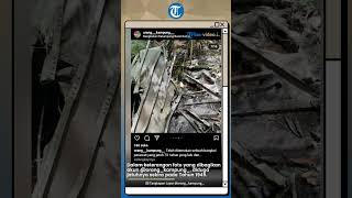 Viral Video Temuan Bangkai Pesawat di Tengah Hutan Kalimantan, Ada Bagian Sayap yang Utuh