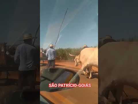 ⛪ Romaria de São Patrício (GO) ✨Fé, tradição e muita emoção no coração de Goiás!