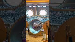 Disney Destiny | It’s The Details For Me