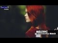 Melodic Dubstep Mix March 2013 